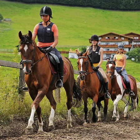 公寓式酒店 Alpin