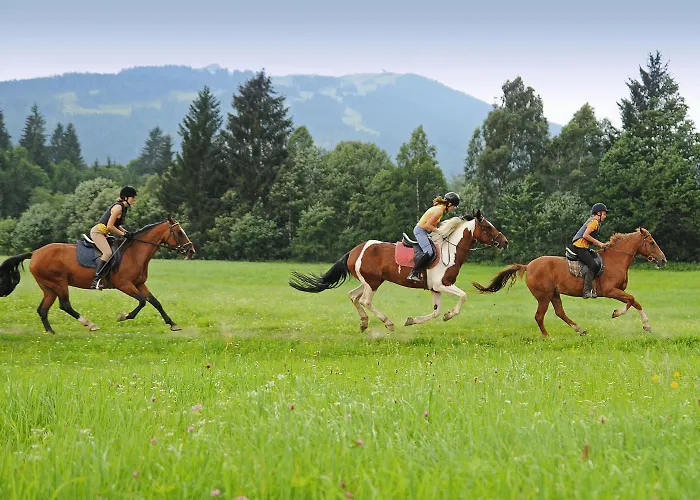 アパートホテル Alpin