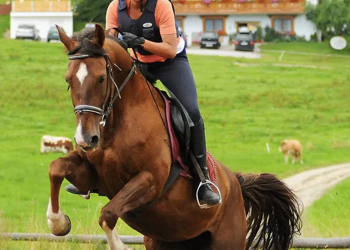 Hotel apartamentowy Alpin 3*