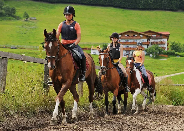 Hotel apartamentowy Alpin