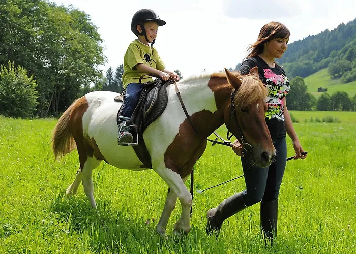 アパートホテル Alpin フラッハウ