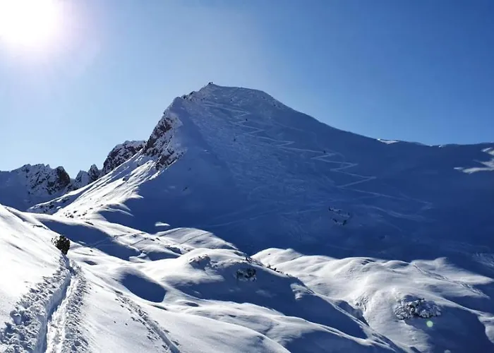 アパートホテル Alpin