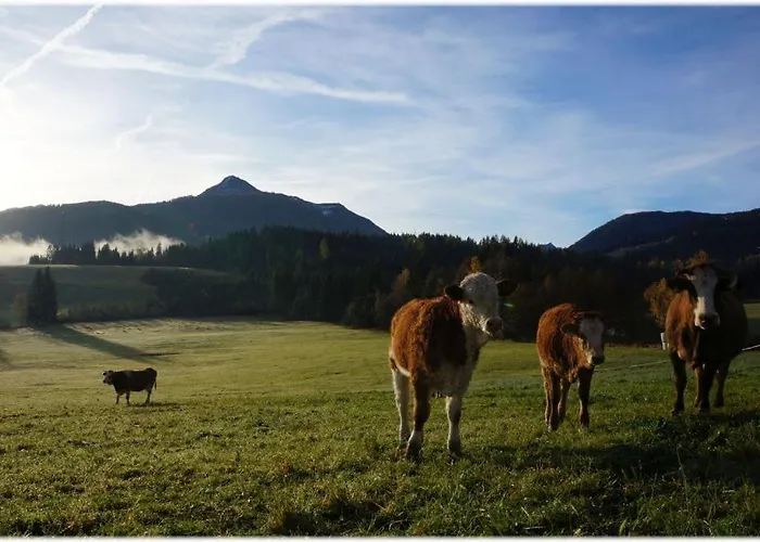 Alpin Hotel apartamentowy 3*